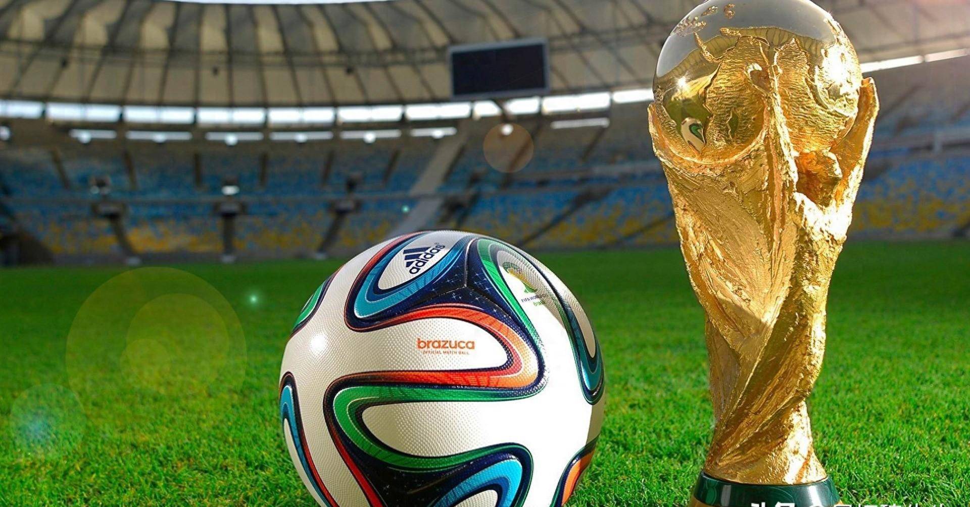 动作稳定性 动作稳定性