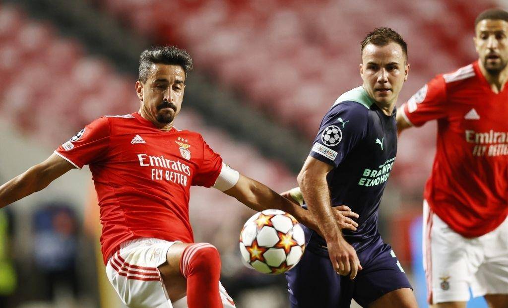 由今年夏天 由今年夏天