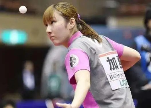 会费约20 会费约20