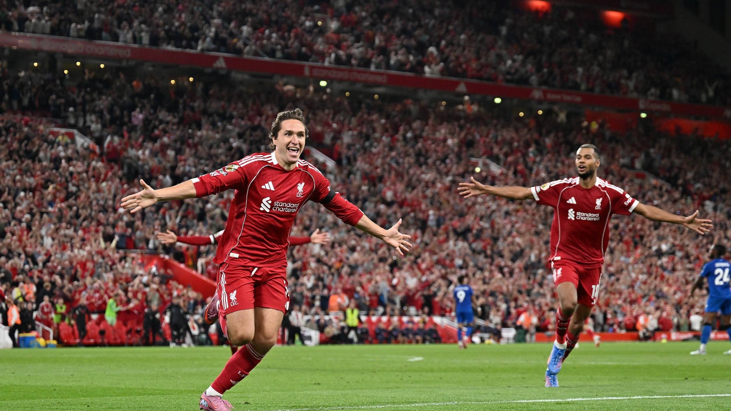 却在网络上 却在网络上